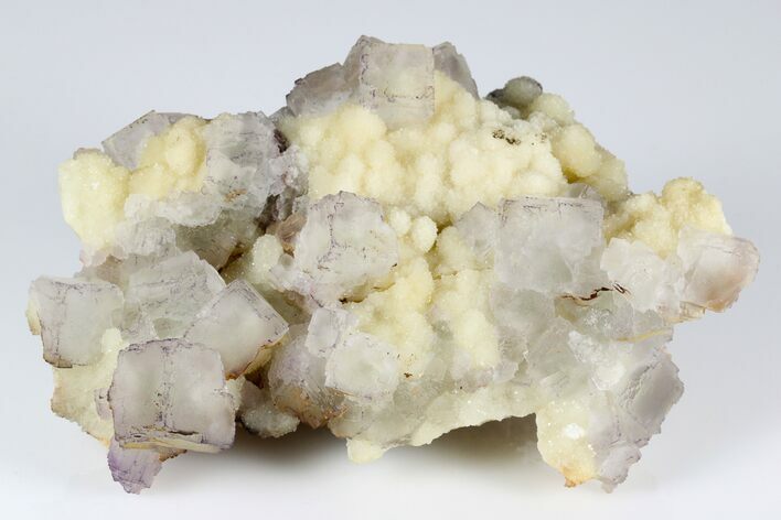 Purple Edge Fluorite Crystal Cluster - Qinglong Mine, China #186895
